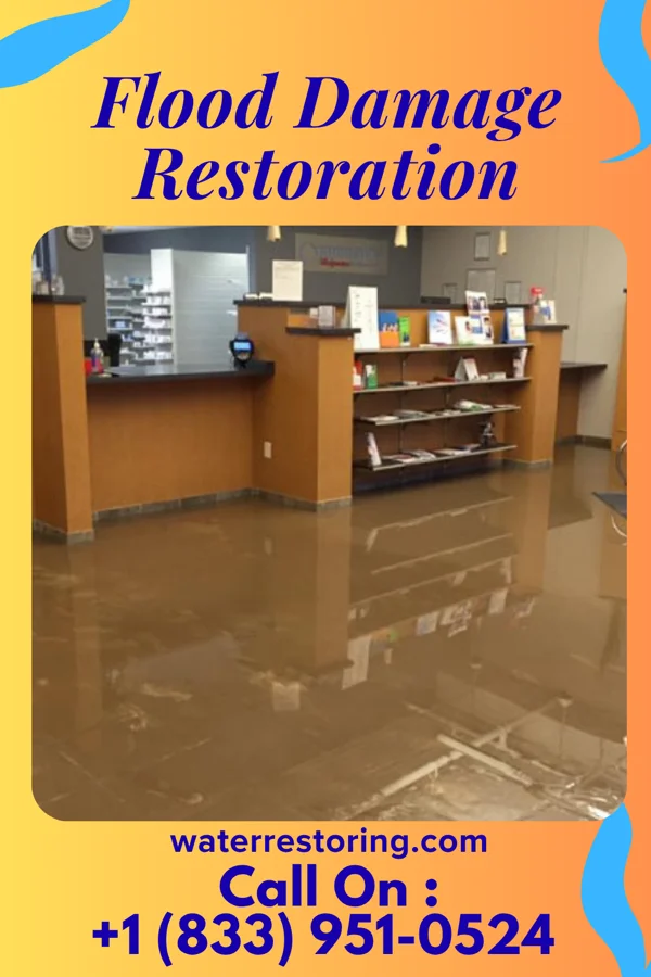Flood Damage Restoration in Americus, IN