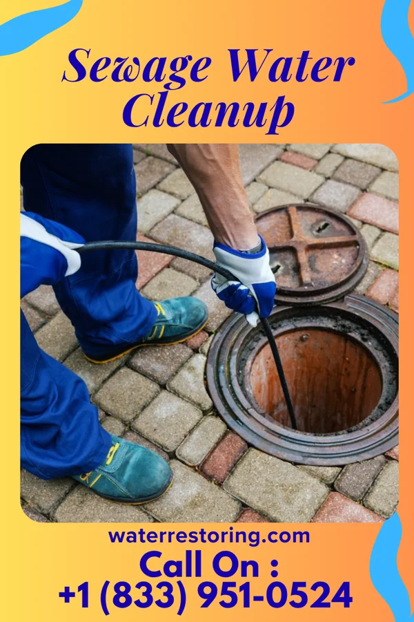 Sewage Water Cleanup in Americus, IN