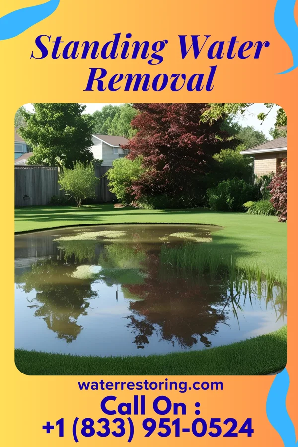 Standing Water Removal in Americus, IN